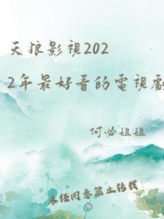 天狼影视2022年最好看的电视剧