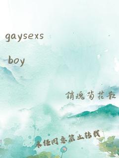 gaysexs boy