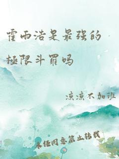 霍雨浩是最强的极限斗罗吗