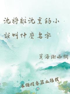 沈将离沈熏的小说叫什么名字