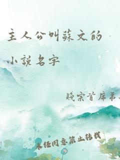 主人公叫苏文的小说名字