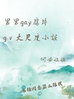 男男gay腐片gⅴ大尺度小说