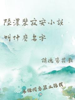 陆浓裴寂安小说叫什么名字