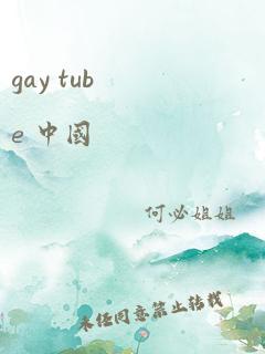 gay tube 中国