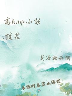 高h,np小说,校花