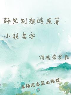 师兄别想逃原著小说名字