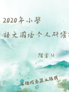 2020年小学语文国培个人研修计划