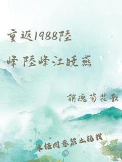 重返1988陆峰 陆峰江晓燕