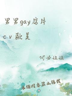 男男gay腐片cⅴ欧美