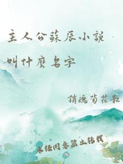 主人公苏辰小说叫什么名字