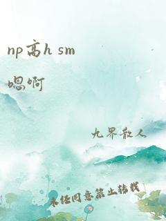 np高h sm嗯啊