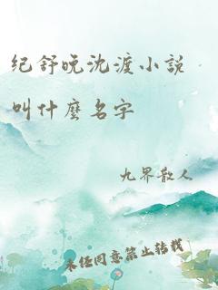 纪舒晚沈渡小说叫什么名字