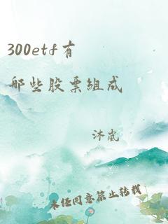 300etf有哪些股票组成