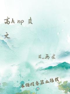 高h np 爽文