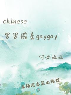 chinese男男国产gaygay