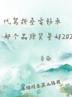 代驾折叠电动车哪个品牌质量好2024