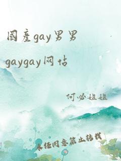 国产gay男男gaygay网站