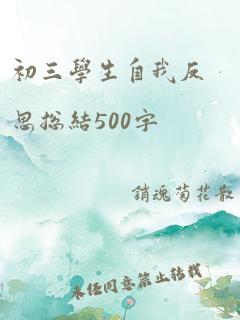 初三学生自我反思总结500字