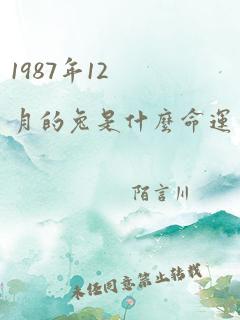 1987年12月的兔是什么命运