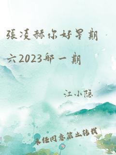 张凌赫你好星期六2023哪一期