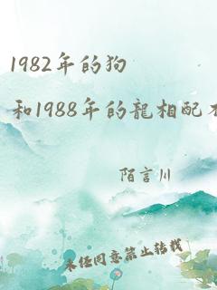 1982年的狗和1988年的龙相配不