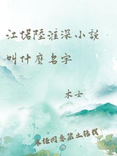 江偌陆淮深小说叫什么名字