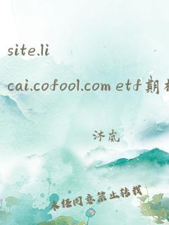 site.licai.cofool.com etf期权手续费