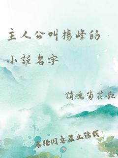 主人公叫杨峰的小说名字