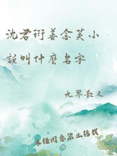 沈君珩姜念芙小说叫什么名字