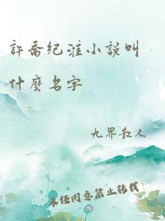 许乔纪淮小说叫什么名字