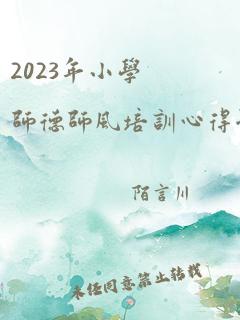 2023年小学师德师风培训心得体会