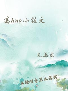 高hnp小说文