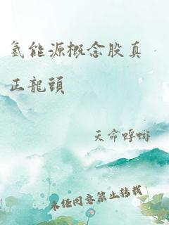 氢能源概念股真正龙头