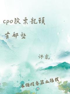 cpo股票龙头有哪些