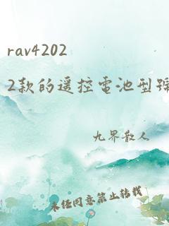 rav42022款的遥控电池型号