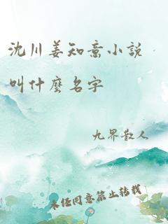 沈川姜知意小说叫什么名字