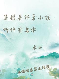 萧权秦舒柔小说叫什么名字