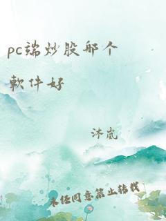 pc端炒股哪个软件好