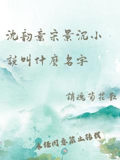 沈韵意宋景沉小说叫什么名字