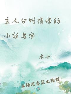 主人公叫杨峰的小说名字