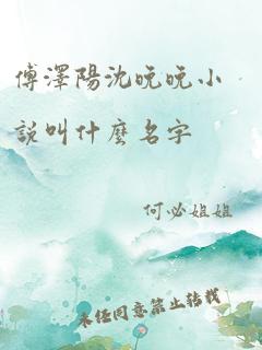 傅泽阳沈晚晚小说叫什么名字