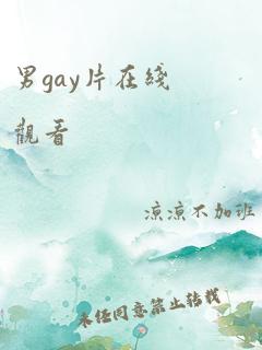 男gay片在线观看