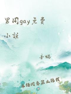 男同gay免费小说