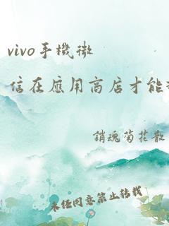 vivo手机微信在应用商店才能打开怎么办