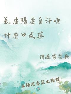 气虚阳虚自汗吃什么中成药