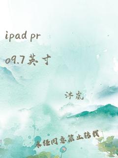 ipad pro9.7英寸