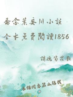 乔念叶妄川小说全本免费阅读1856