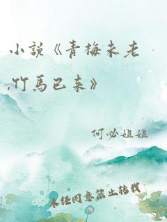 小说《青梅未老,竹马已来》