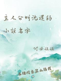 主人公叫沈迟的小说名字