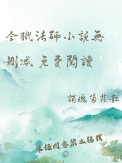 全职法师小说无删减 免费阅读